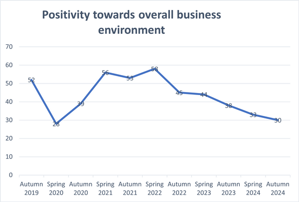 Business environment (Autumn 2024).png