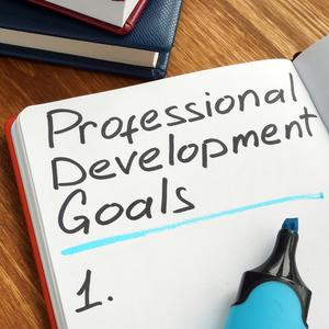 Professional Development Goals